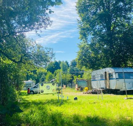 Sulejow Other | Sulejów Podklasztorze CAMP