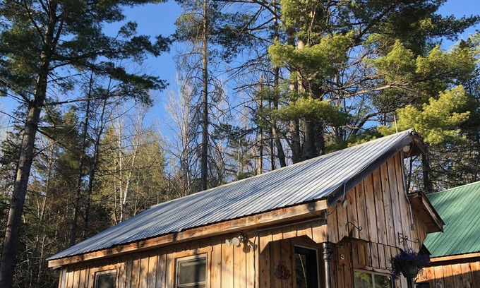 Washington Cottage | Sun drenched cozy cottage on budding 17 acre homestead