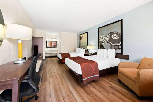 Florida City Hotel | Super 8 by Wyndham Florida City/Homestead/Everglades