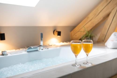 Belfort Apartment | Superbe appartement avec Sauna Spa Massage