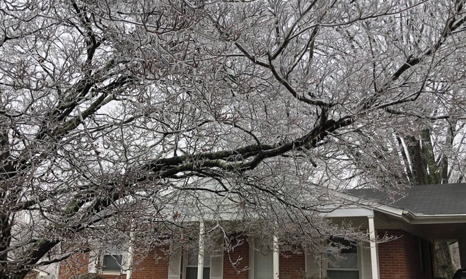 Greensboro House | Sweet Haven - Serene 3BR Family Retreat - Trees, Trails, Convenient Location