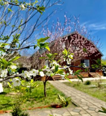 Tsqaltubo House | sweet village