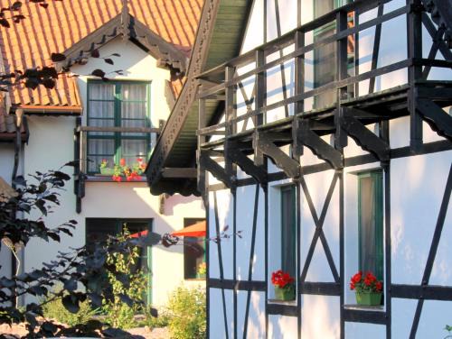 Zawady Oleckie House | Szwajcaria Mazurska