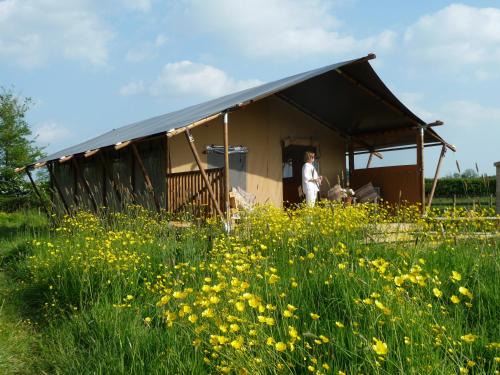 Glastonbury Cabin | Tall Trees Glamping