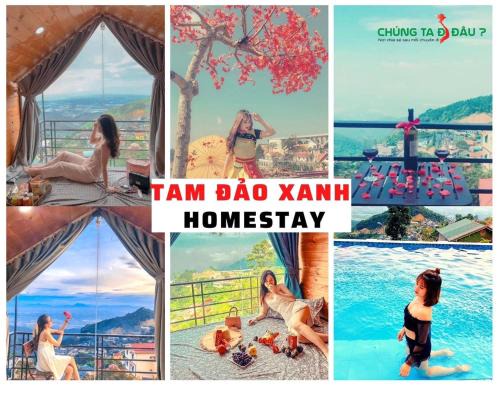 Tam Dao House | Tam Đảo Xanh Homestay - Venue Travel