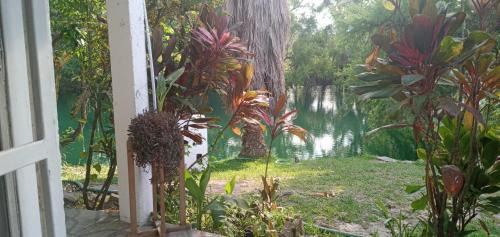 La Huasteca House | tamasopo y sus rios