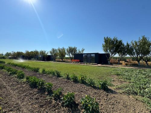 Rade House | Te Vreshti - Container Home