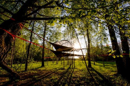 Latgale Other | Teltis Liepās