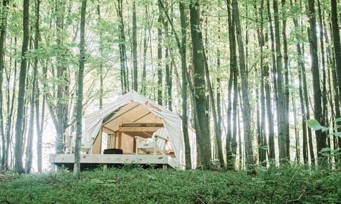 Waymart RV Rental | Tentrr Signature Site - Hollow Tree Camp - Coleman Outfitted Site
