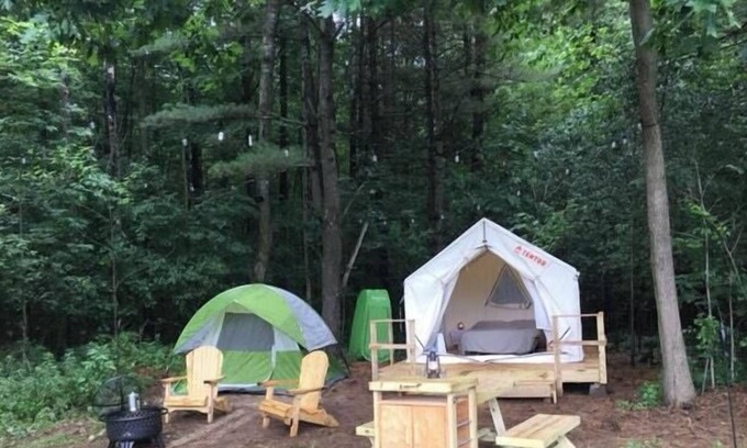 Johnstown RV Rental | Tentrr Signature Site - Dreamroad Farm Pine Tree