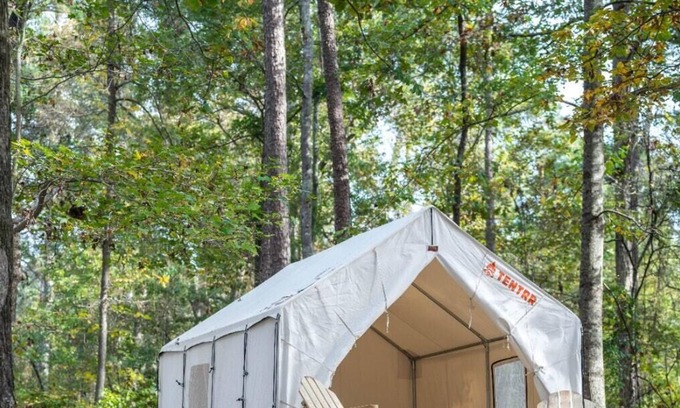 Morton RV Rental | Tentrr State Park Site - Mississippi Roosevelt State Park - Tall Trees H - Singl