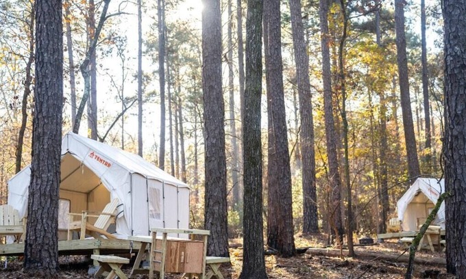 Quitman RV Rental | Tentrr State Park Site - Mississippi Clarkco State Park - Woodland B - Double Ca