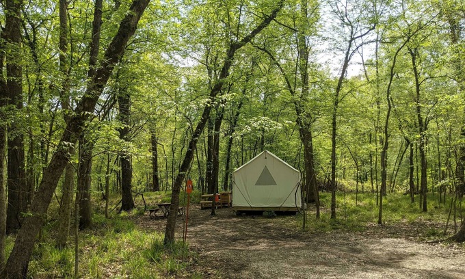 Saint Landry RV Rental | Tentrr State Park Site - Louisiana Chicot State Park - Site A - Single Camp