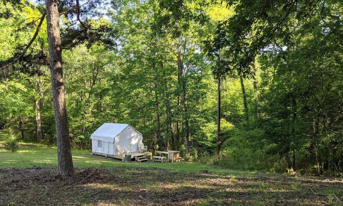 Saint Landry RV Rental | Tentrr State Park Site - Louisiana Chicot State Park - Site H - Single Camp