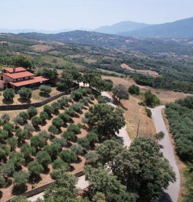 Altavilla Silentina Bed & Breakfast | Tenuta Raimo