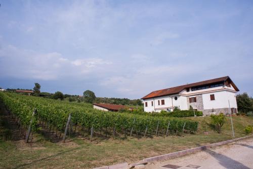 Alvignano House | Tenuta Tralice