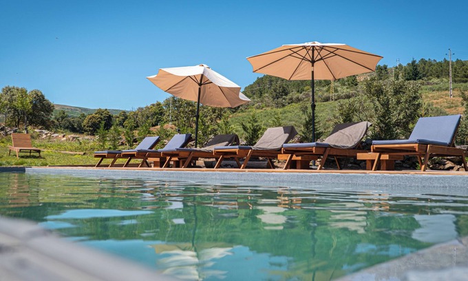 Videmonte Bed & Breakfast | TerraSense Mountain Charm Retreat & Farm