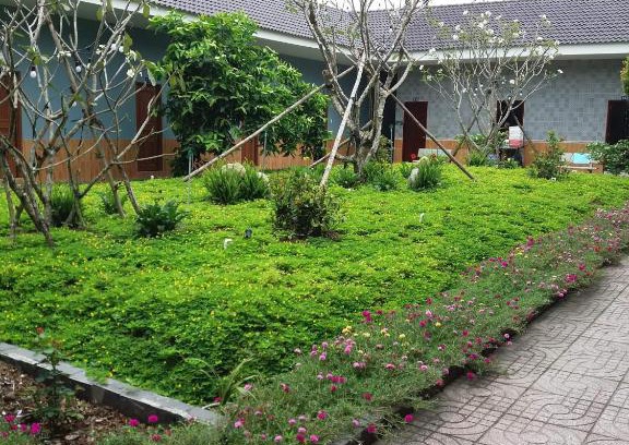 Cu Chi House | Thanh Thuy