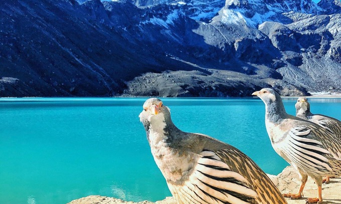Gokyo Hotel | Thanka Inn Gokyo