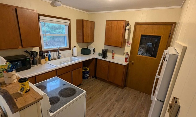 Herron Cabin | The Atwood Lodge | Secluded Cabin in Curran MI