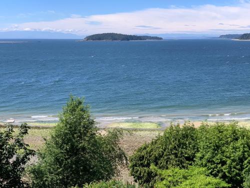 Selma Park House | The Beach Hideaway - Eagles Suite