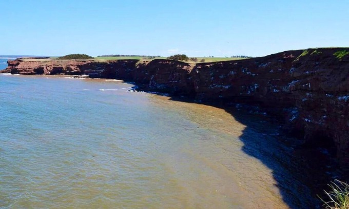 Malpeque Cottage | The Blue Buoy- Hot tub, King bed, Centrally located, stunning views.