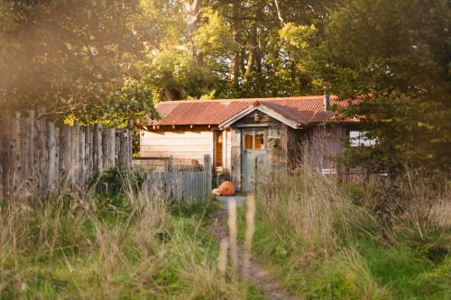 Dolanog House | The Boatshed at Camp Plas