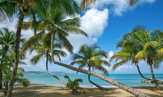 Estate Shoys Hotel | The Buccaneer Beach & Golf Resort
