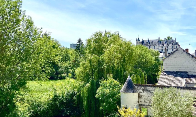Loches Apartment | The campaign in the city center