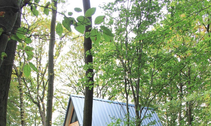 Ruminghem Apartment | The chalet of wood Ruminghem