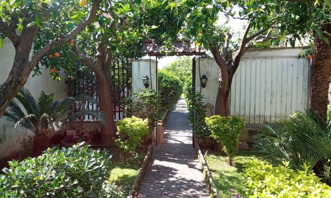 San Marco Evangelista Apartment | The Citrus Garden