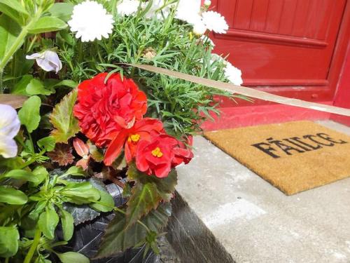 Lecemy House | The Cosy Farm Cottage, Donegal