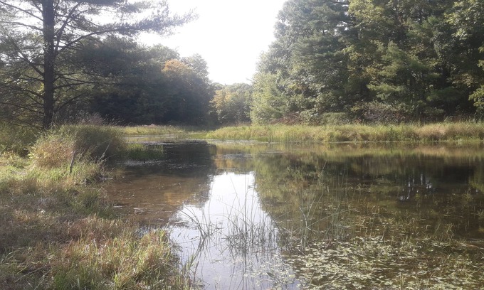 Leeds and the Thousand Islands RV Rental | The Duck Pond (BYO tent camp) - very private, pet friendly, max 8 people/4 tents