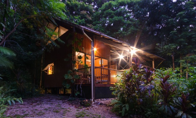 Cow Bay Bed & Breakfast | The Epiphyte Bed & Breakfast