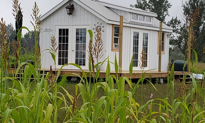 Hastings Cottage | The Firefly stargazer, garden studio. View the night sky from your bed.