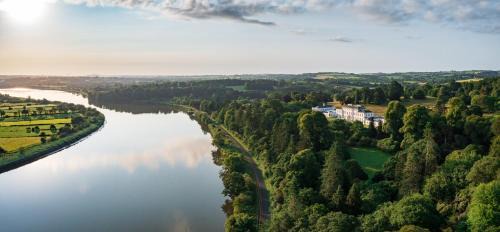 Killotteran Resort | The Forest at Mount Congreve Gardens