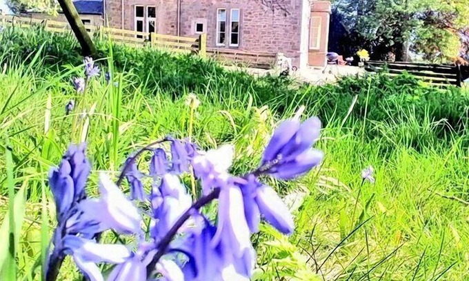 Berwick-upon-Tweed Bed & Breakfast | The Gables