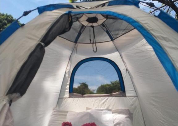 Mto wa Mbu Bed & Breakfast | The Green Parrot Campsite & Lodge