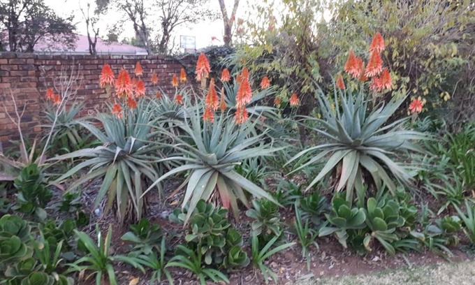 Piet Retief House | The Greendoor Guesthouse