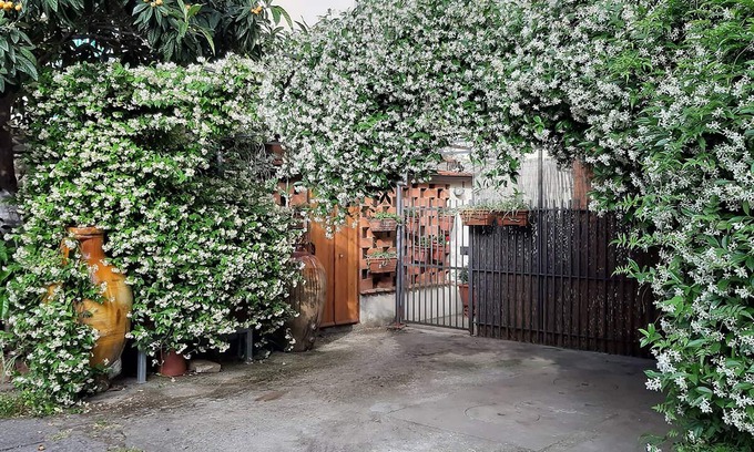 Campo di Marte Apartment | THE HOME OF JASMINE AND MEDLAR, TO MAKE YOU FEEL AT HOME.