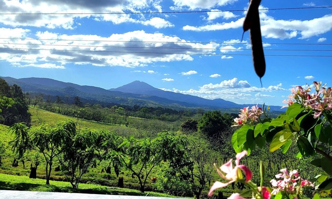 Canton Guatuso House | The House on the Hill