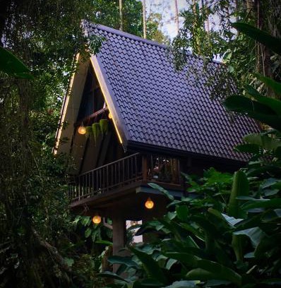Ella Cabin | THE JUNGLE CABIN ella