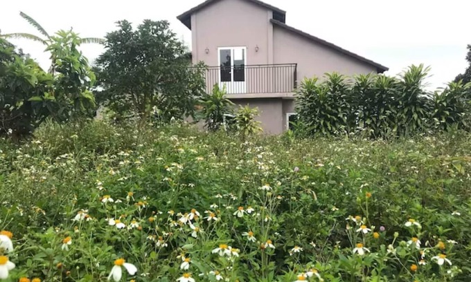 Bao Loc House | The Lavie' Homestay- on Mountain