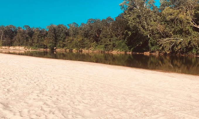 Petal House | The Leaf River Yacht Club