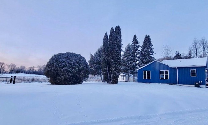 Polk County Cabin | The Lil Blue Wood Cabin in the Woods!