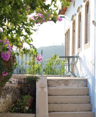 Alvaiazere House | The Little Olive Quinta