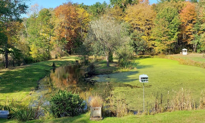 Tillson Apartment | The Loft at 'Blue Heron Watch' Nature Getaway