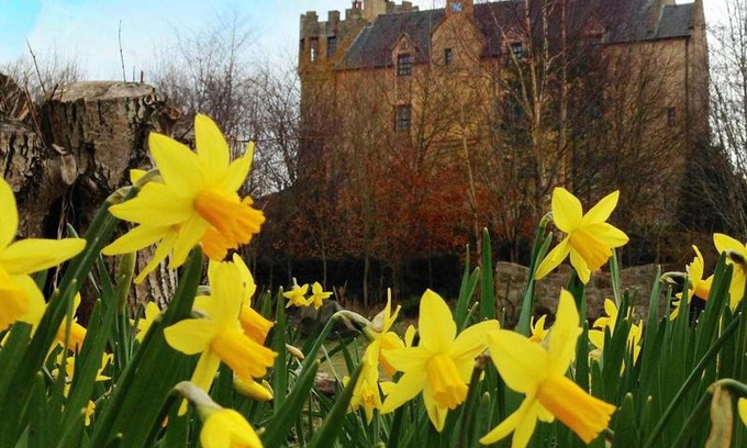 Airth House | The Manor at Plane Castle
