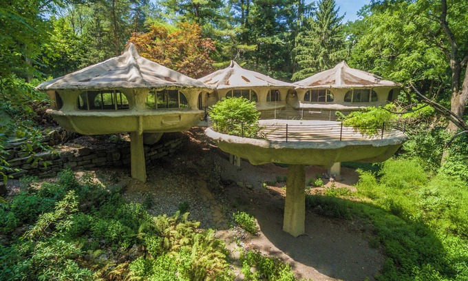 Perinton House | The Mushroom House