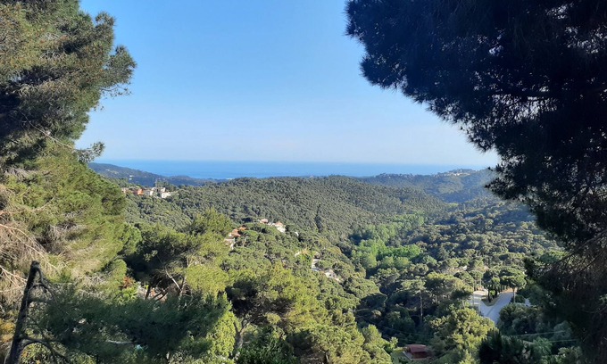 Can Palau House | The Nature House - Art Sea and Forest